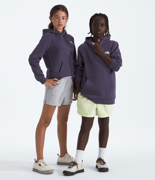 Boys’ & Girls’ Evolution Simple Dome Pullover Hoodie - The North Face Hot Sale