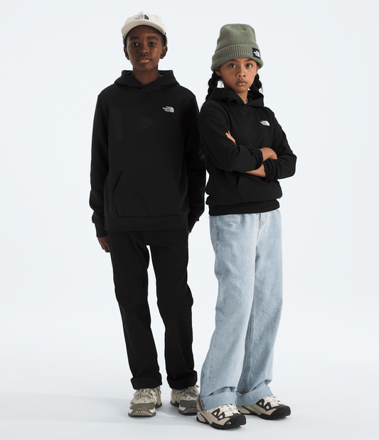 Boys’ & Girls’ Evolution Simple Dome Pullover Hoodie - The North Face Latest