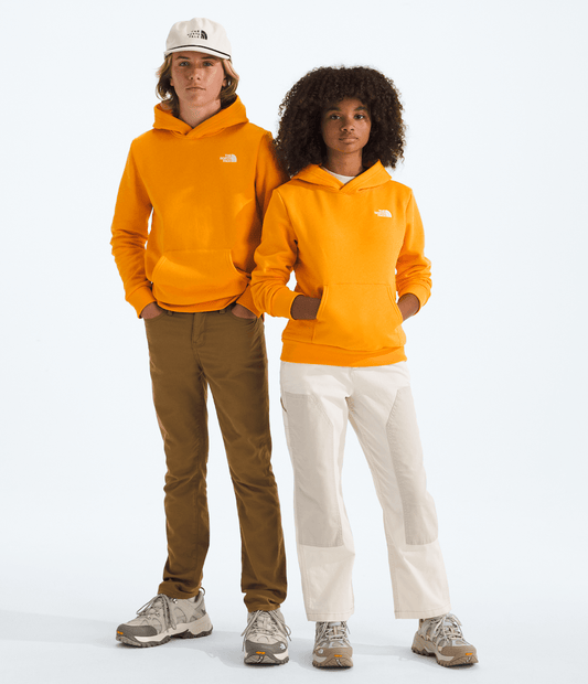 Boys’ & Girls’ Evolution Simple Dome Pullover Hoodie - The North Face Customer Favorite