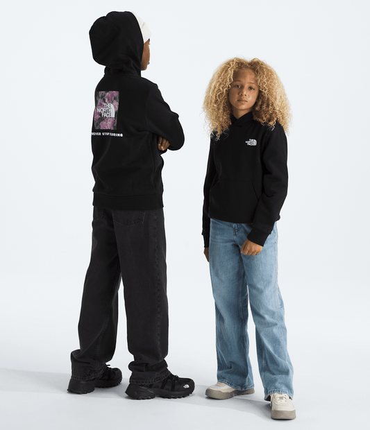 Boys’ & Girls’ Evolution Box NSE Pullover Hoodie—Graphic - The North Face Hot Sale