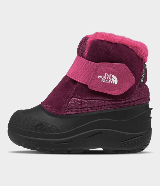 Toddler Alpenglow II Boots - The North Face Trusted